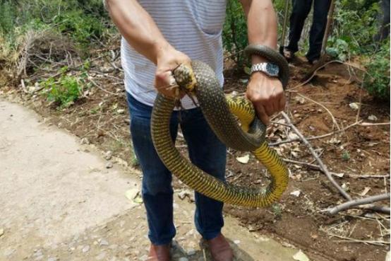 穿越千年，共赴河南时光之旅