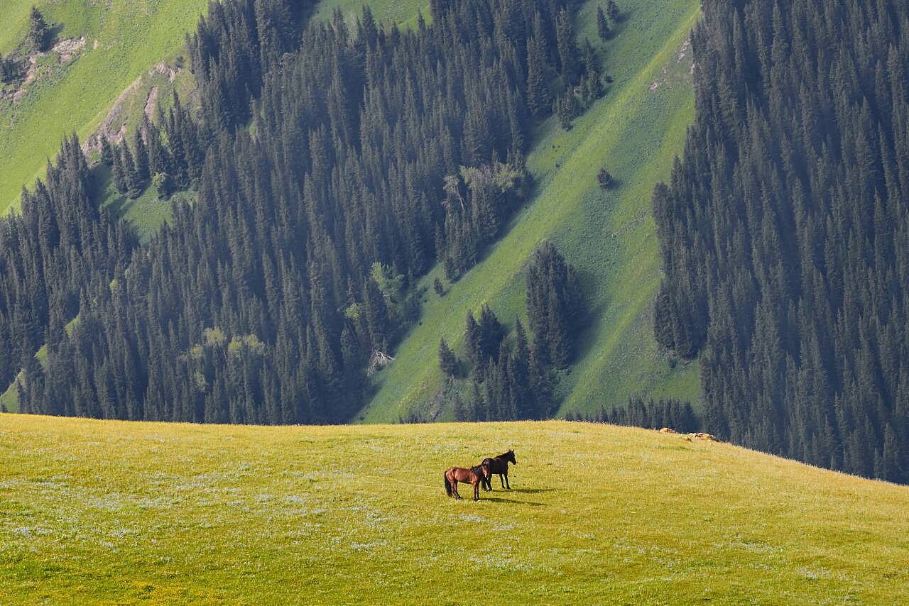 新疆，神秘美丽的土地之旅